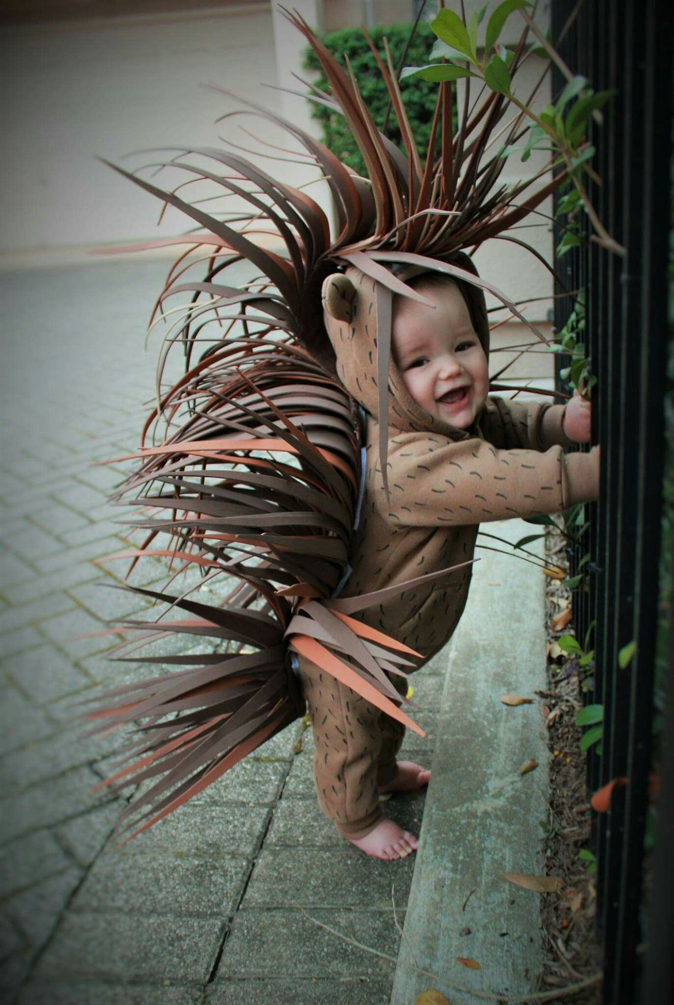 Best ideas about DIY Animal Halloween Costumes
. Save or Pin Porcupine halloween costume diy 2016 Now.