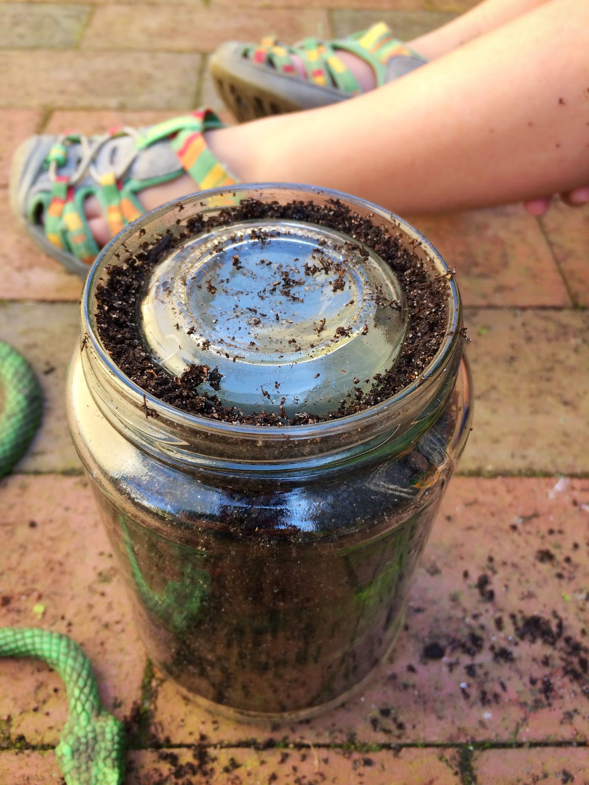Best ideas about DIY Ant Farm
. Save or Pin Our Beautifully Messy House DIY Ant Farm Now.