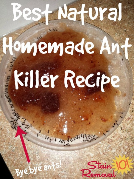 Best ideas about DIY Ant Killer
. Save or Pin Best Natural Homemade Ant Killer Recipe Now.