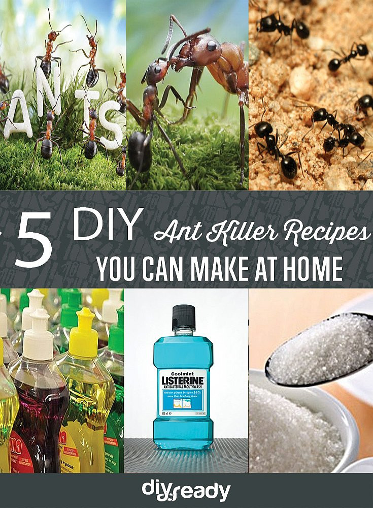 Best ideas about DIY Ant Killer
. Save or Pin Homemade Ant Killer Recipes DIY Projects Craft Ideas & How Now.