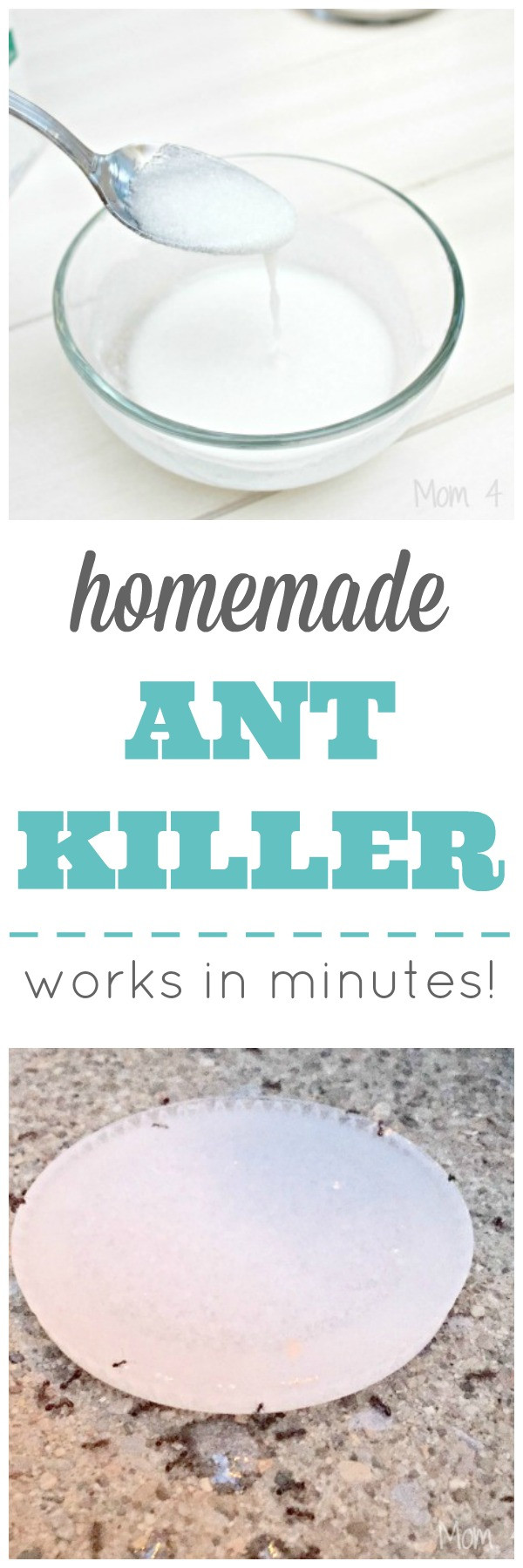 Best ideas about DIY Ant Killer
. Save or Pin Homemade Ant Killer Works In Minutes Mom 4 Real Now.