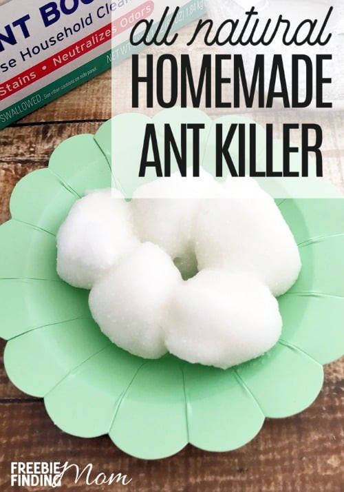Best ideas about DIY Ant Killer
. Save or Pin How To Kill Ants Naturally Homemade Ant Killer Recipe Now.