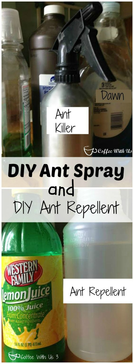 Best ideas about DIY Ant Repellent
. Save or Pin 25 unique Ant killer recipe ideas on Pinterest Now.