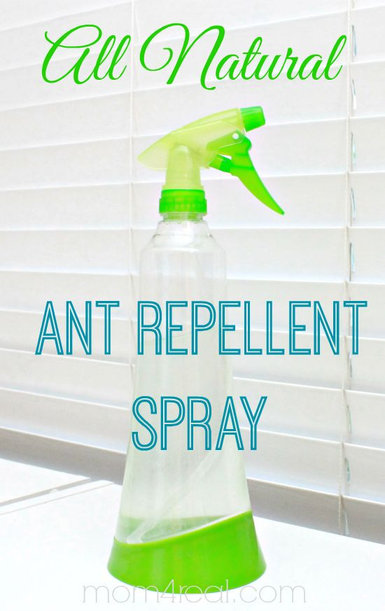 Best ideas about DIY Ant Repellent
. Save or Pin Homemade All Natural Ant Repellent Spray Now.
