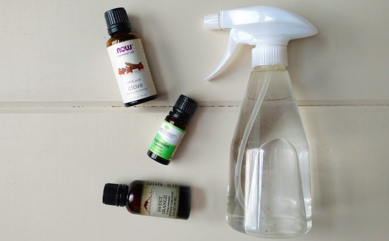 Best ideas about DIY Ant Repellent
. Save or Pin Homemade Ant Repellent Spray To Get Rid Ants For Good Now.