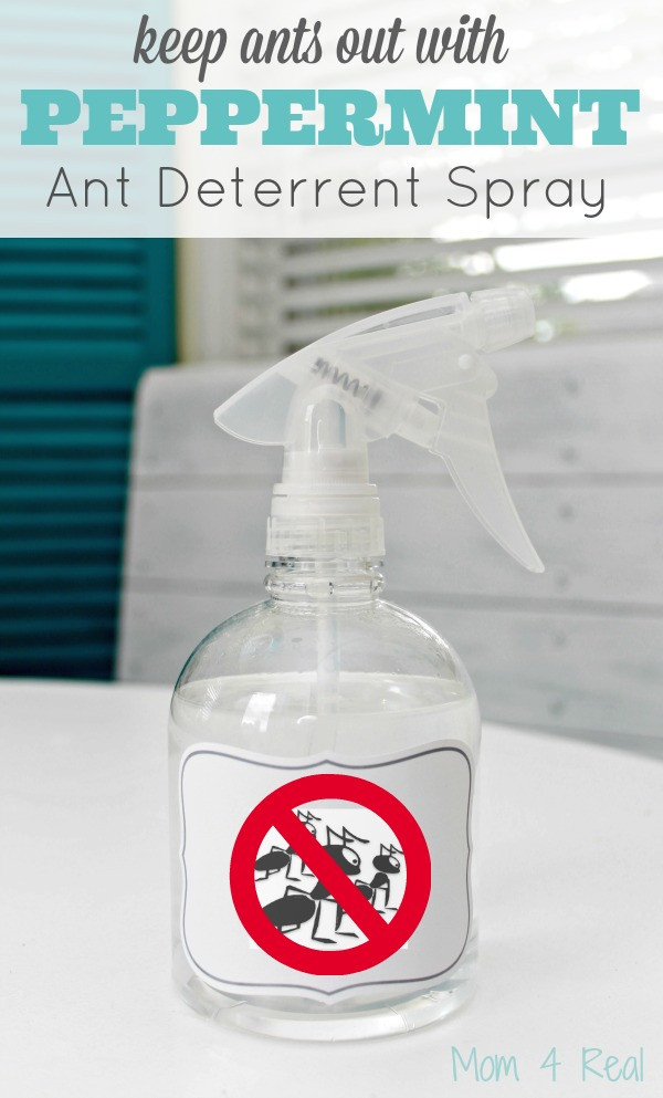 Best ideas about DIY Ant Spray
. Save or Pin Homemade Peppermint Ant Spray Mom 4 Real Now.