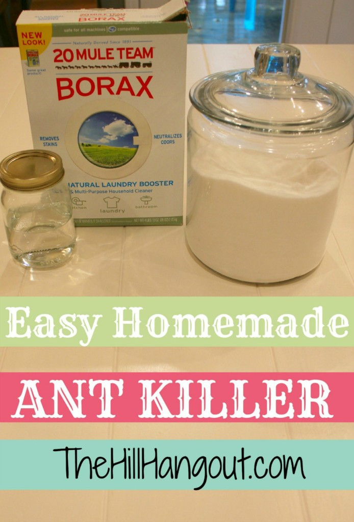 Best ideas about DIY Ant Spray
. Save or Pin The Best Homemade Ant Killer Now.