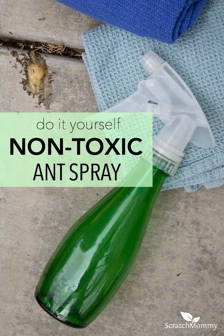 Best ideas about DIY Ant Spray
. Save or Pin DIY Non toxic Ant Spray Kills Contact Now.