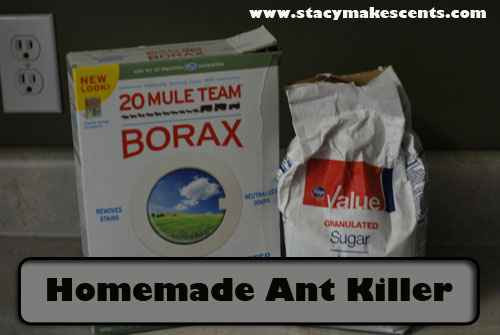 Best ideas about DIY Ant Trap
. Save or Pin 14 DIY Effective And Natural Ant Killer Recipes Now.