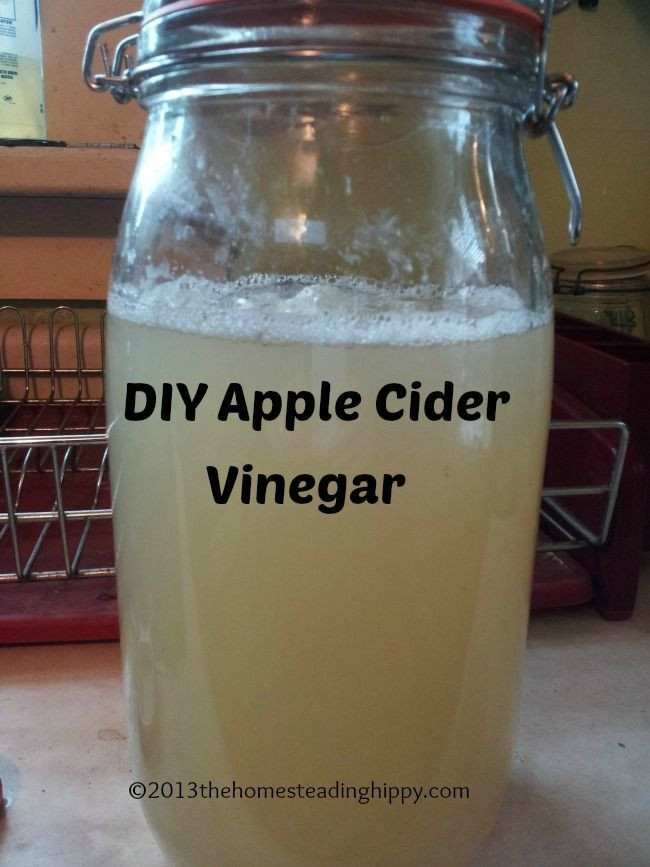 Best ideas about DIY Apple Cider Vinegar
. Save or Pin 40 best images about Water Kefir on Pinterest Now.
