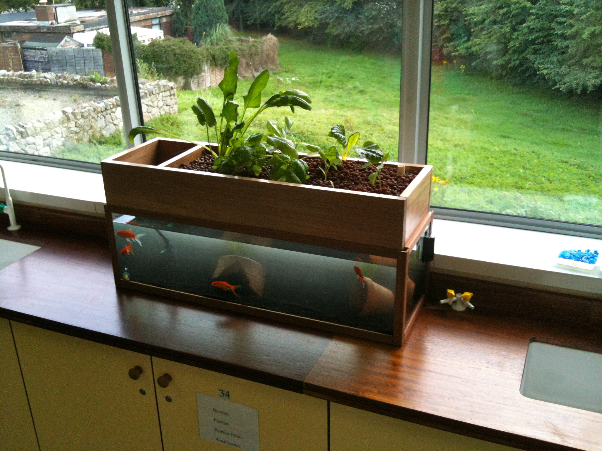 Best ideas about DIY Aquaponics System
. Save or Pin Aquaponics – EcoWatch Canada Now.