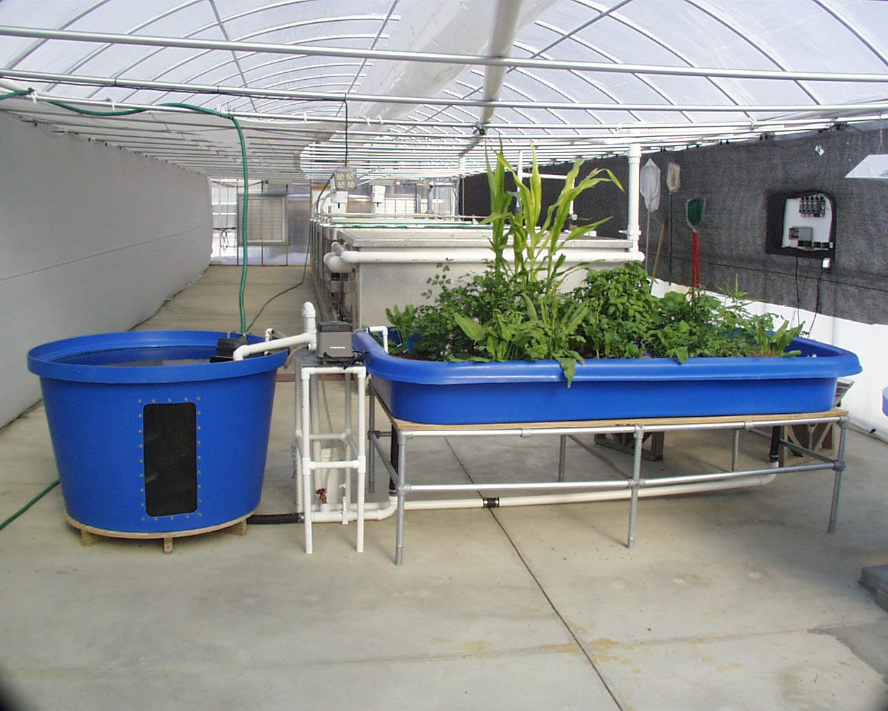 Best ideas about DIY Aquaponics System
. Save or Pin Aquaponics Overview Now.