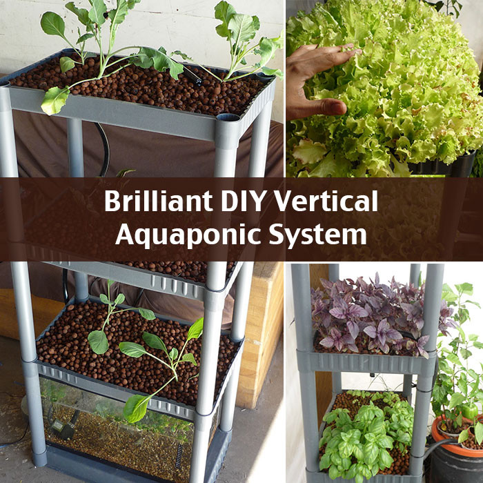 Best ideas about DIY Aquaponics System
. Save or Pin Brilliant DIY Vertical Aquaponic System f Grid World Now.