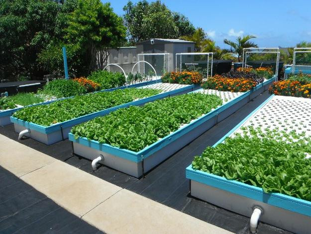 Best ideas about DIY Aquaponics System
. Save or Pin Free Info For A DIY Aquaponics System Friendly Aquaponics Now.