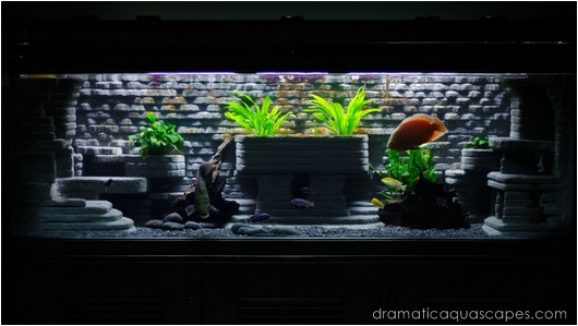 Best ideas about DIY Aquarium Background
. Save or Pin Get Inspired with these 9 DIY Aquarium Backgrounds TFCG Now.