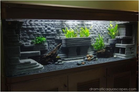 Best ideas about DIY Aquarium Backround
. Save or Pin Dramatic AquaScapes DIY Aquarium Now.
