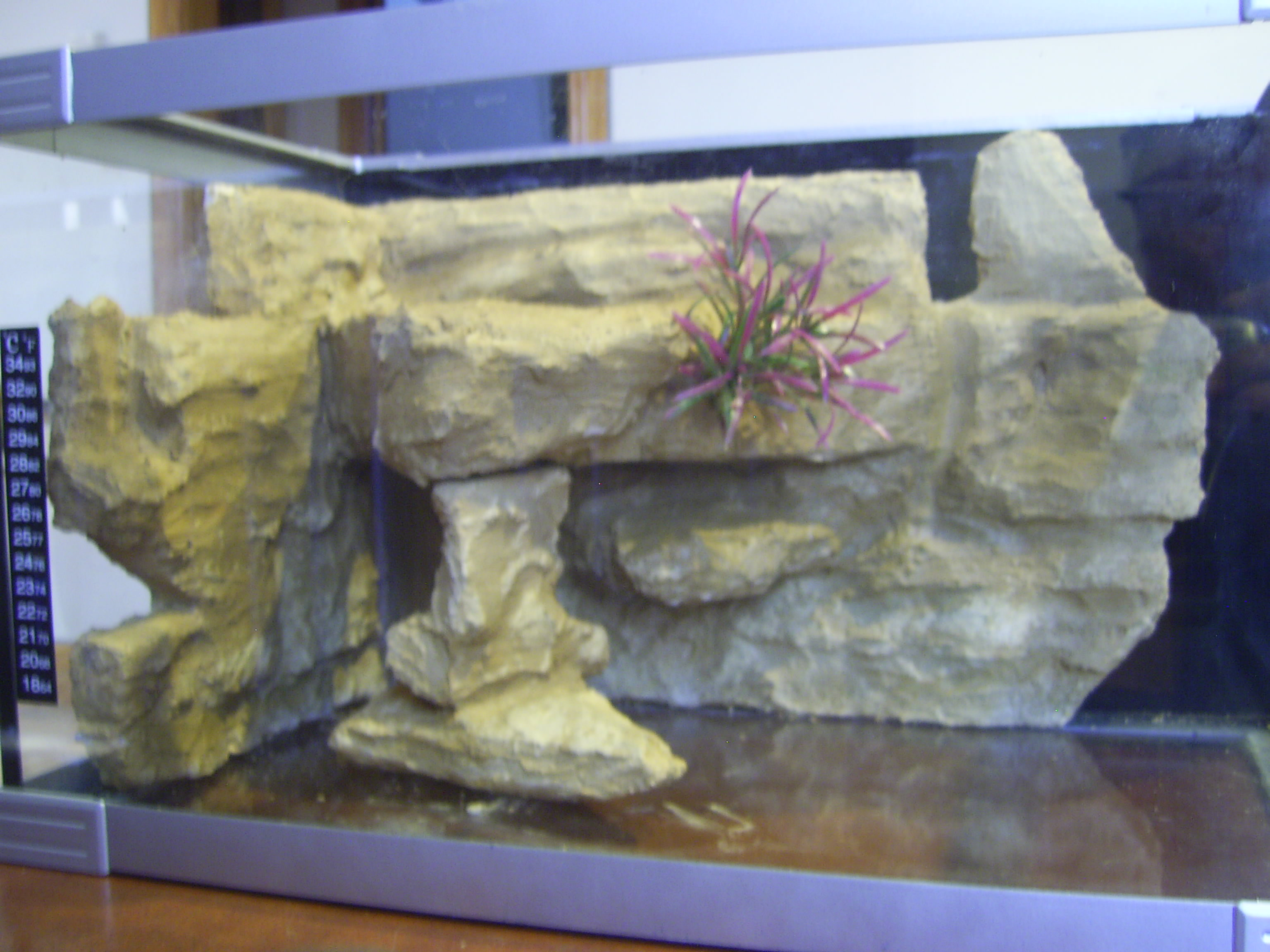 Best ideas about DIY Aquarium Backround
. Save or Pin cichlids DIY aquarium background Now.