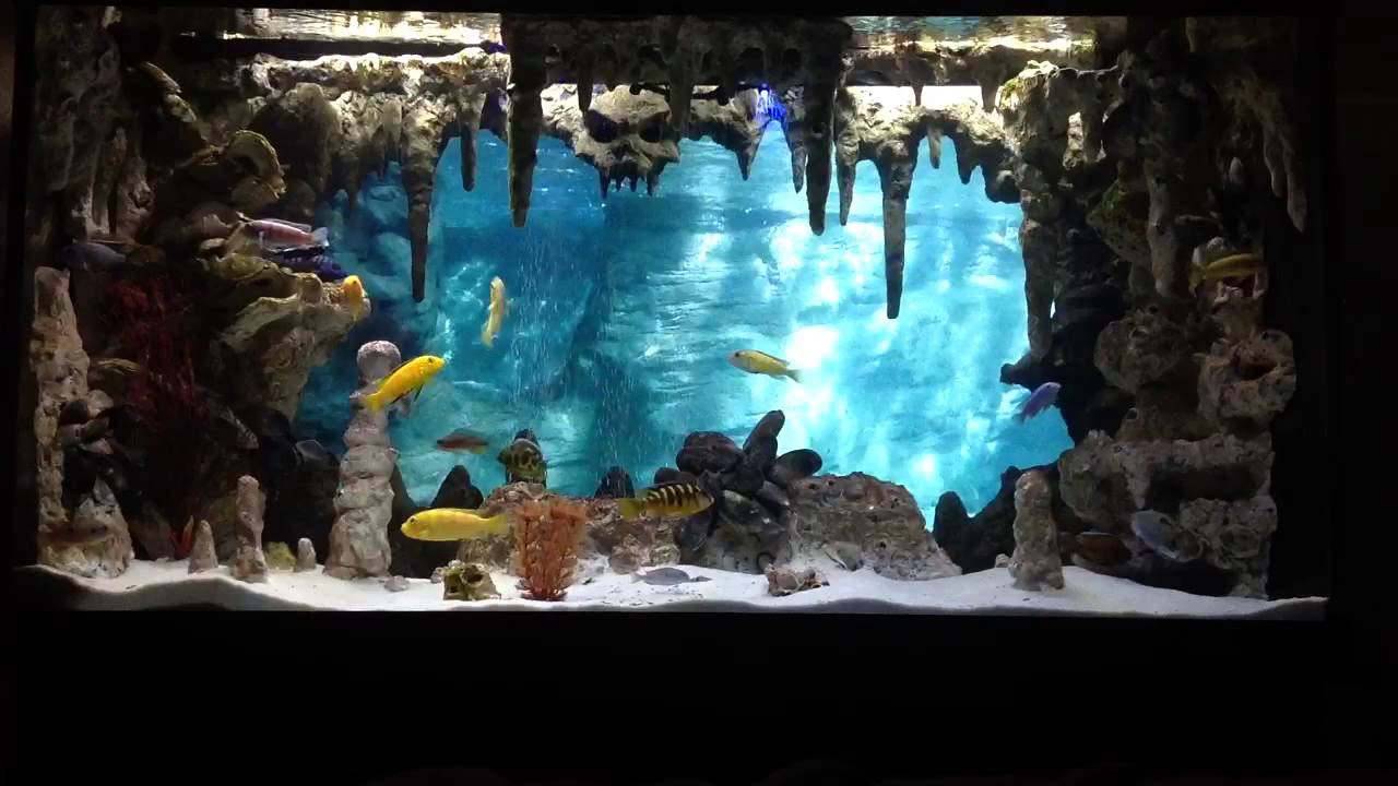 Best ideas about DIY Aquarium Backround
. Save or Pin DIY Underwater Cavern Aquarium with 3D background Now.