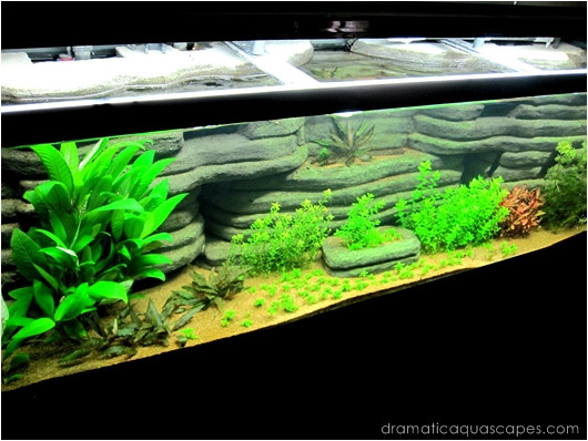Best ideas about DIY Aquarium Backround
. Save or Pin Get Inspired with these 9 DIY Aquarium Backgrounds TFCG Now.