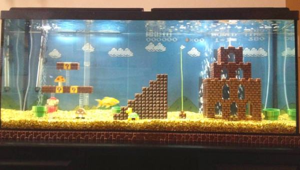 Best ideas about DIY Aquarium Decoration
. Save or Pin DIY Super Mario Aquarium Decor petdiys Now.
