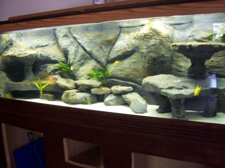 Best ideas about DIY Aquarium Decoration
. Save or Pin Zoom in real dimensions 1024 x 768 Now.