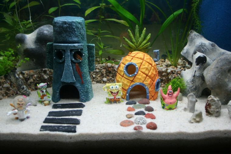 Best ideas about DIY Aquarium Decoration
. Save or Pin Aquarium Decorations Diy 21 meowlogy Now.