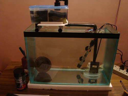 Best ideas about DIY Aquarium Filter
. Save or Pin diy sump filter for aquariums Now.