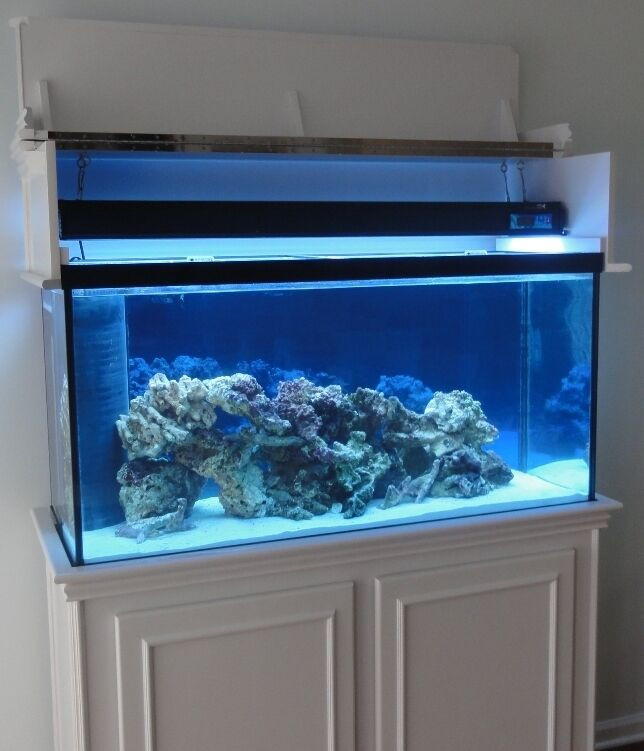 Best ideas about DIY Aquarium Hood
. Save or Pin DIY Aquarium Stand and Canopy PLANS for 75 90 gallon Now.