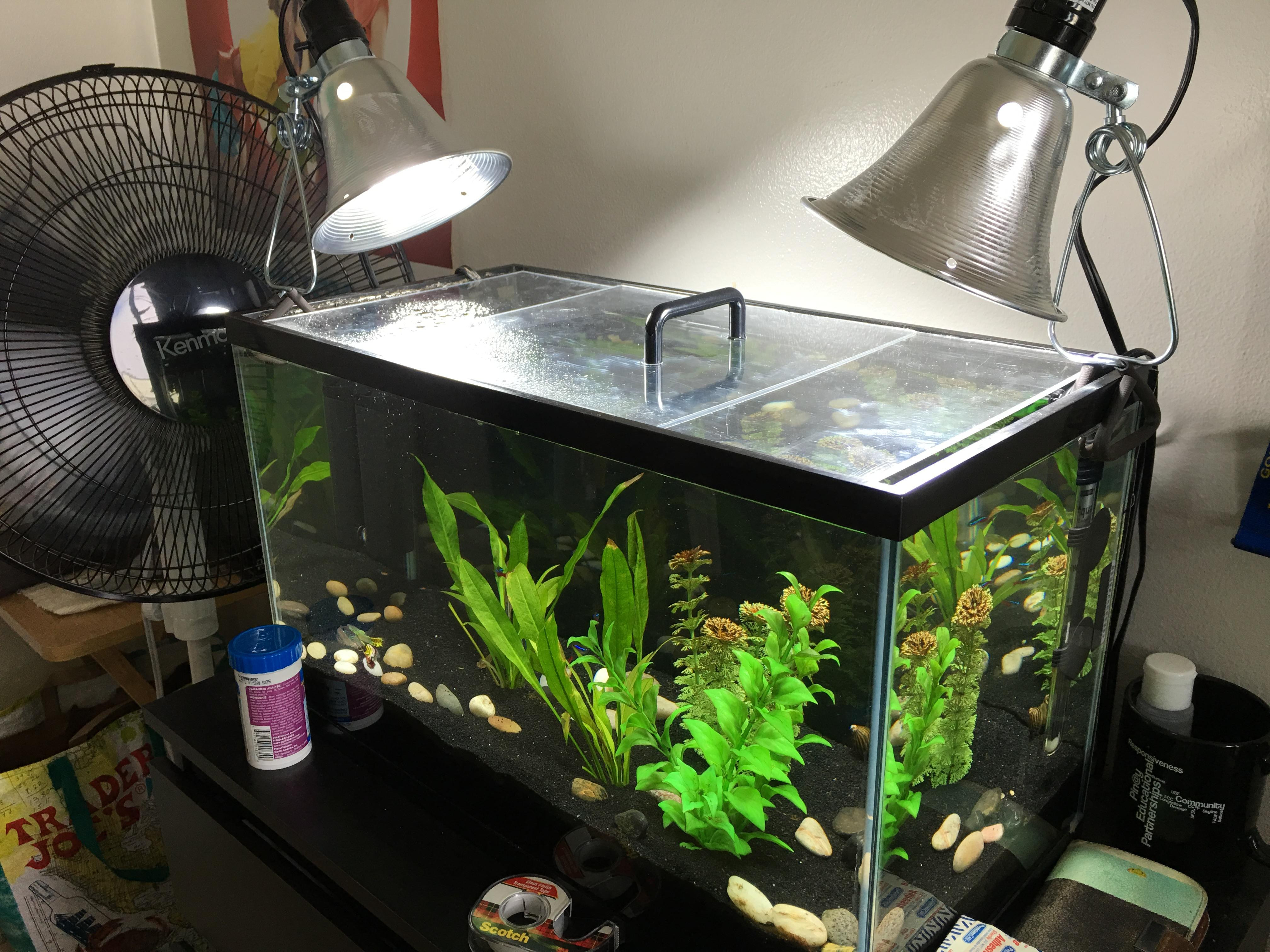 Best ideas about DIY Aquarium Hood
. Save or Pin Upgraded my hood to a DIY Acrylic top with lights Aquariums Now.
