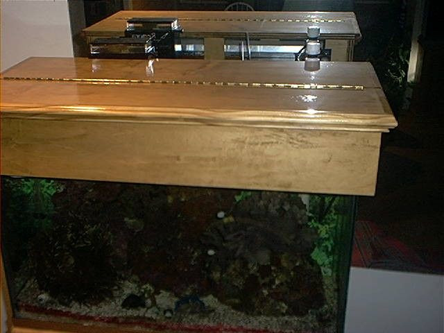 Best ideas about DIY Aquarium Hood
. Save or Pin 80 best images about Fish Tank on Pinterest Now.