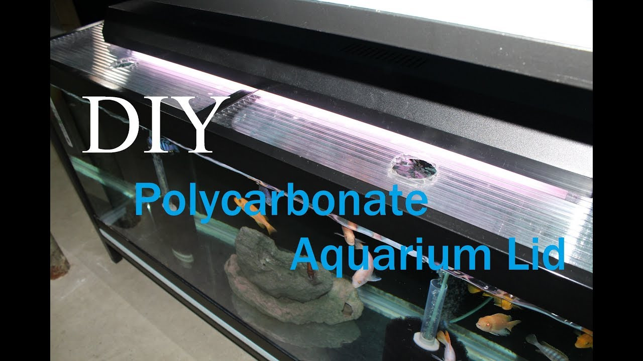 Best ideas about DIY Aquarium Lid
. Save or Pin DIY Aquarium Lids Now.