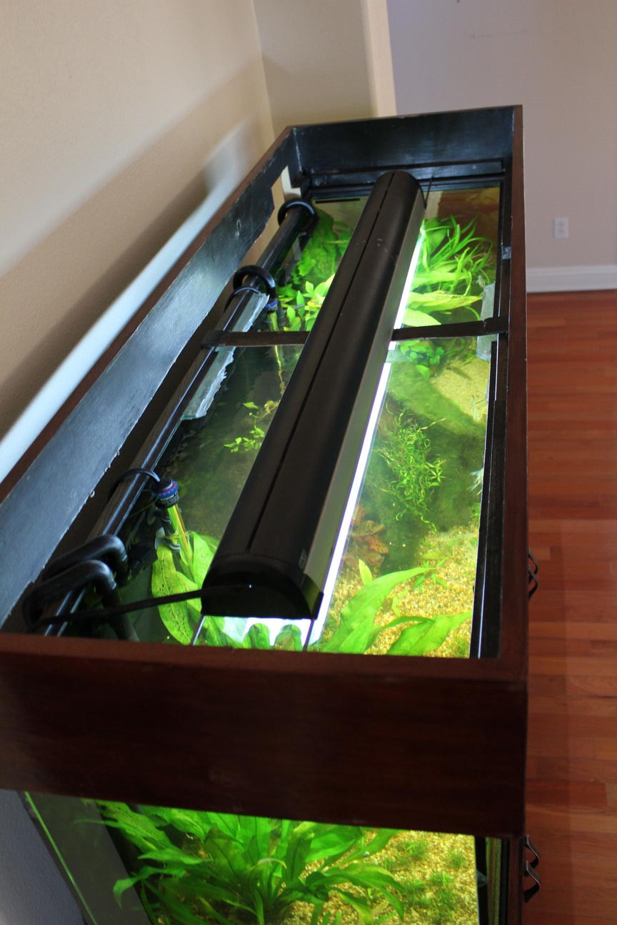 Best ideas about DIY Aquarium Lid
. Save or Pin Aquarium Design Ideas Now.