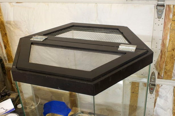 Best ideas about DIY Aquarium Lid
. Save or Pin DIY LED Hood for a 20 Gallon Hexagon Aquarium Tank Now.