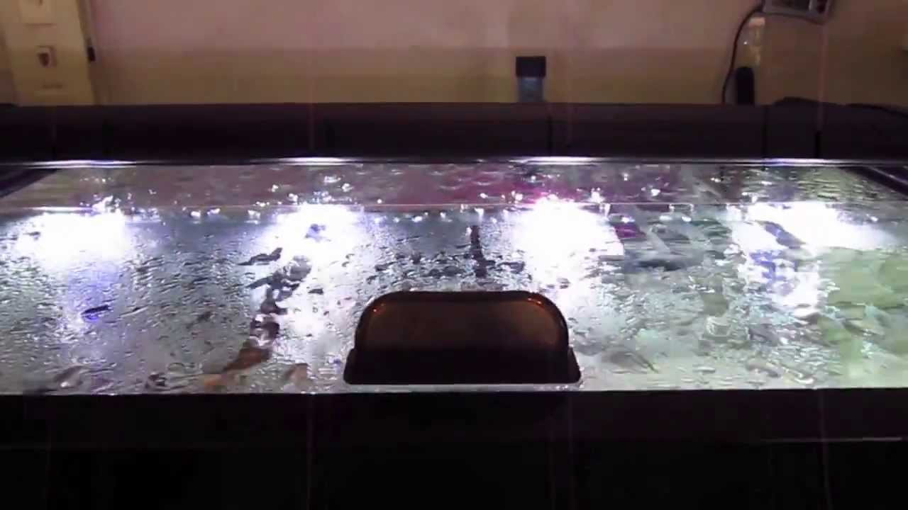 Best ideas about DIY Aquarium Lid
. Save or Pin DIY Sliding Glass Aquarium tops Now.