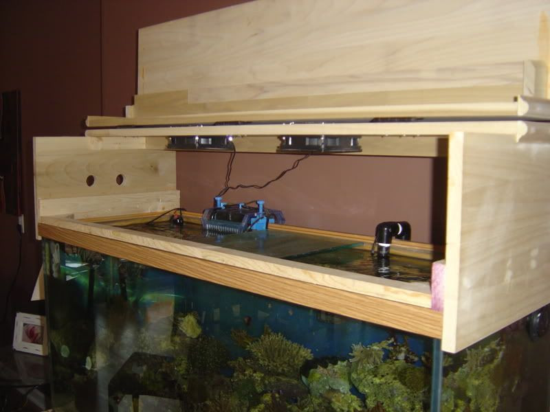 Best ideas about DIY Aquarium Lid
. Save or Pin DIY Canopy do most of you build the canopy to rest on Now.