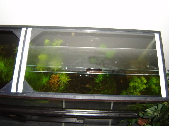 Best ideas about DIY Aquarium Lid
. Save or Pin link DIY "How To" Guide Sliding Glass Top Aquarium Now.