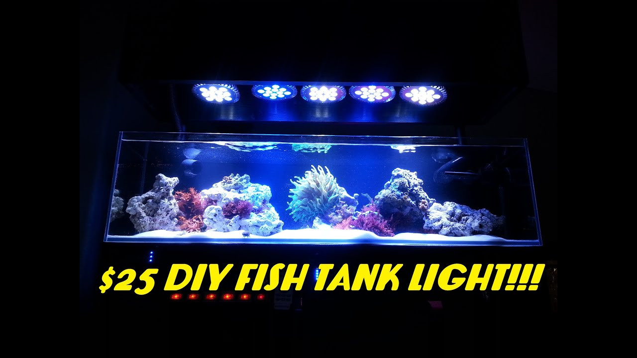 Best ideas about DIY Aquarium Light
. Save or Pin $25 DIY Fish Tank Light ABI 12 Watt Blue White Par38 Now.