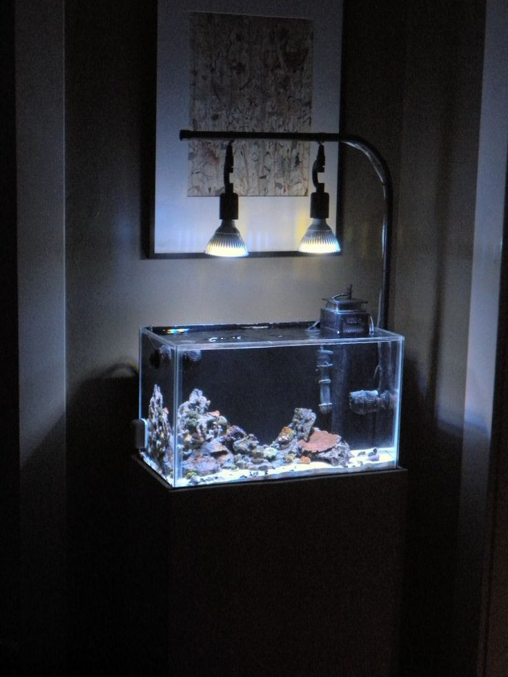 Best ideas about DIY Aquarium Light
. Save or Pin 46 best My Amazing Aquarium Lighting images on Pinterest Now.