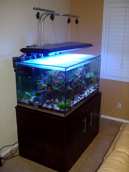 Best ideas about DIY Aquarium Light
. Save or Pin DIY – An Inexpensive Light Hanger Kit Reefkeeping Now.