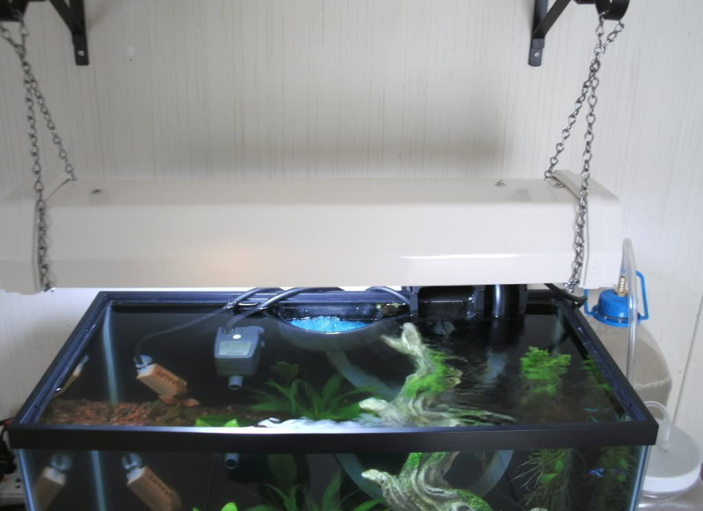 Best ideas about DIY Aquarium Light
. Save or Pin DIY Wall Mounted Aquarium Light petdiys Now.