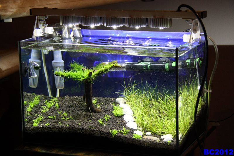 Best ideas about DIY Aquarium Light
. Save or Pin Unusual and Creative diy aquarium Now.