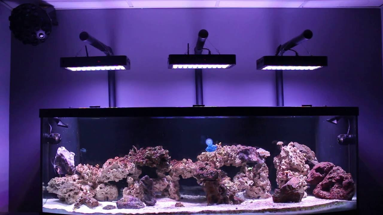 Best ideas about DIY Aquarium Light
. Save or Pin MAN CAVE REEF LED EVERGROW aquarium light DIY mounting kit Now.