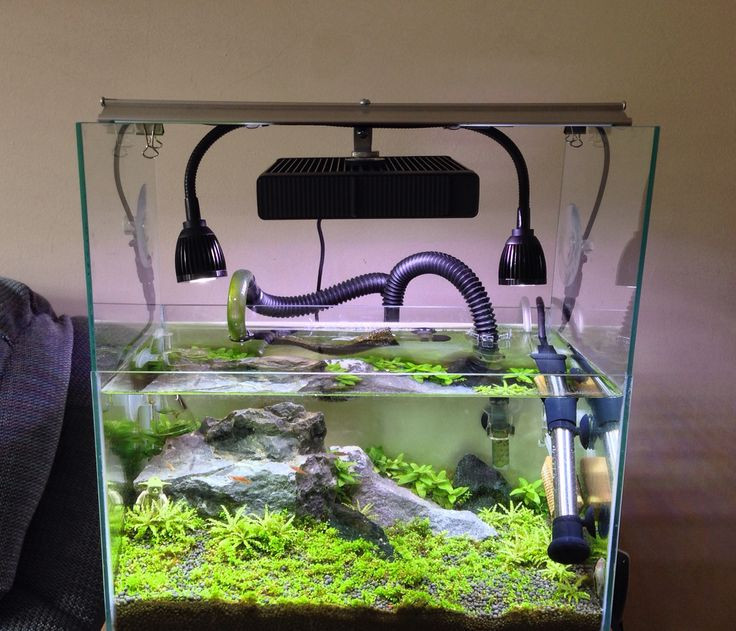 Best ideas about DIY Aquarium Light
. Save or Pin DIY light mount using Fluval LED panel plus 2x Deep Blue Now.