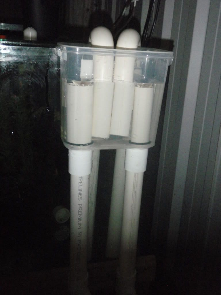 Best ideas about DIY Aquarium Overflow
. Save or Pin DIY OVERFLOW BOX With pics fish stuff Now.