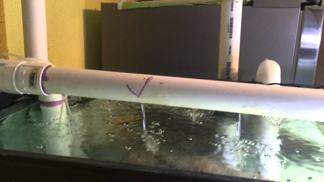 Best ideas about DIY Aquarium Overflow
. Save or Pin DIY Overflow and Filter 100 gallon fish tank Now.