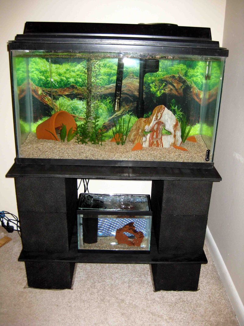 Best ideas about DIY Aquarium Stand Calculator
. Save or Pin PDF How to make aquarium stands DIY Free Plans Download do Now.