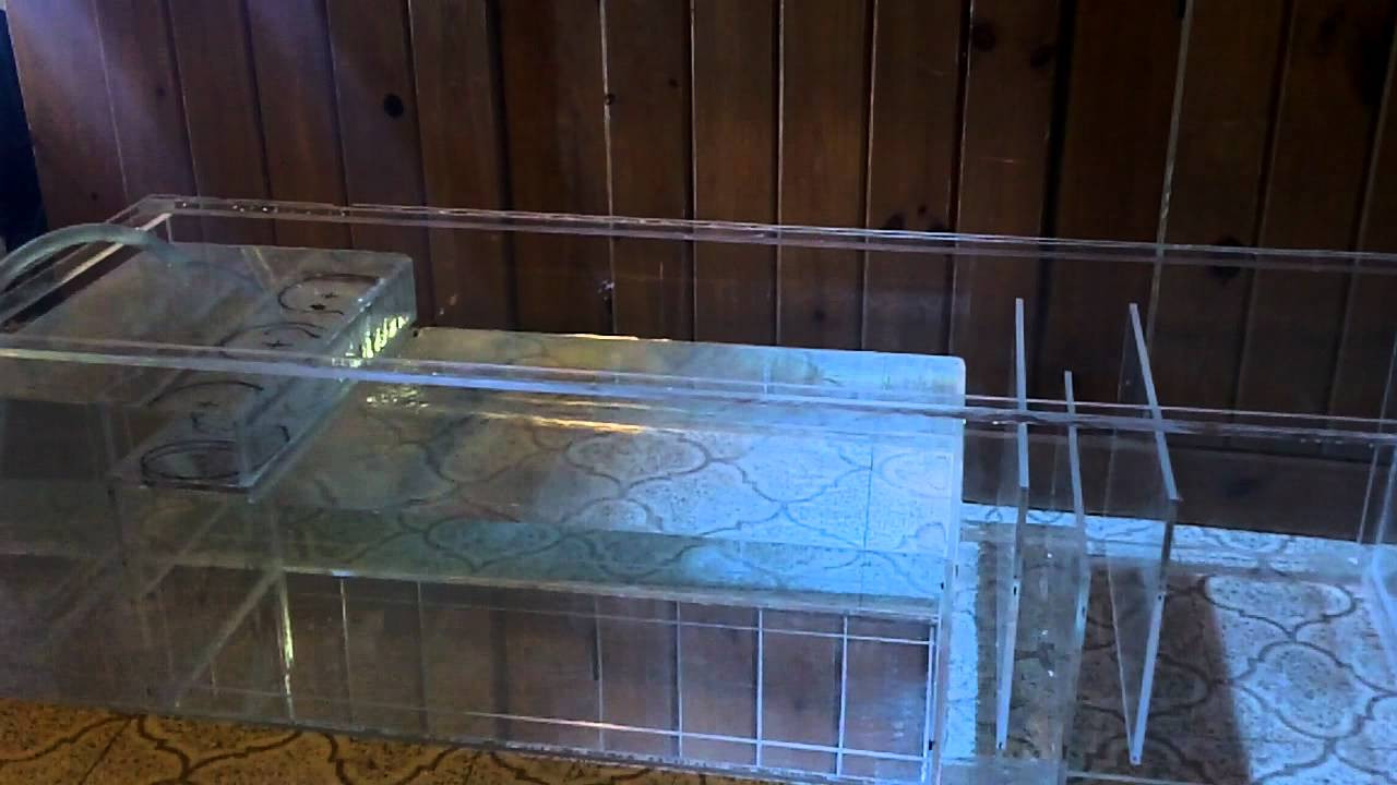 Best ideas about DIY Aquarium Sump
. Save or Pin Diy Sump water test for my 125 gallon reef tank project Now.