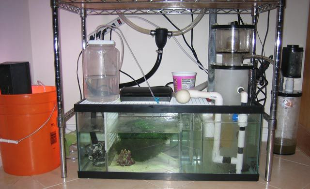 Best ideas about DIY Aquarium Sump
. Save or Pin Melevsreef DIY Glass Sump & Refugium Now.