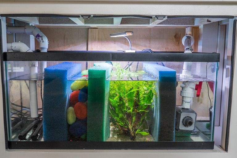 Best ideas about DIY Aquarium Sump
. Save or Pin My 75 Gal w DIY Custom Stand and DIY Sump Refugium The Now.