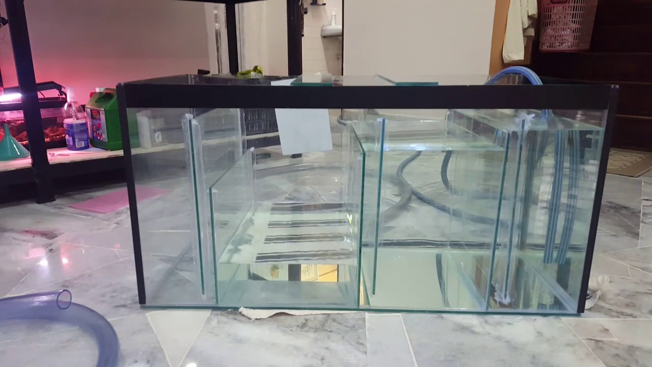 Best ideas about DIY Aquarium Sump
. Save or Pin 20 Gallon DIY Sump Test for freshwater tank Now.